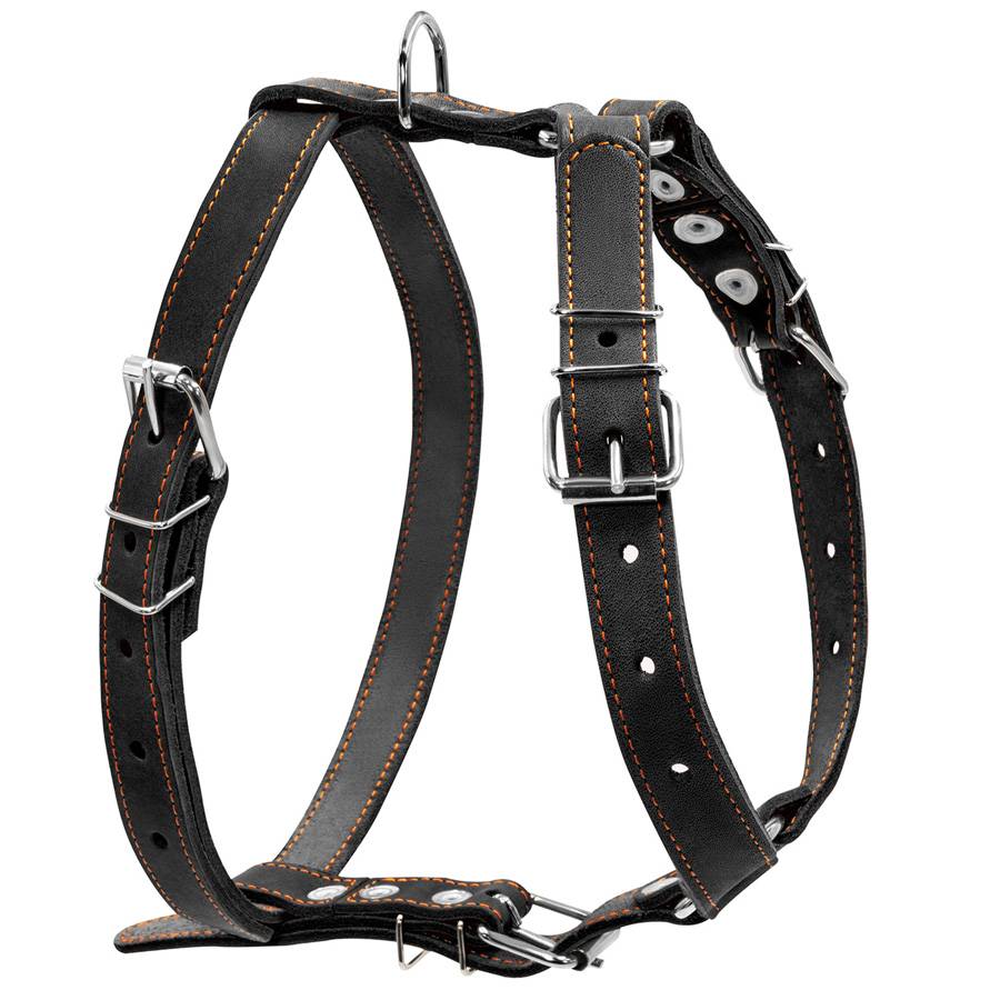 Шлея "CoLLaR" одинарна для середніх собак (ширина 25мм, А:49-68см, В:68-80см) чорний
