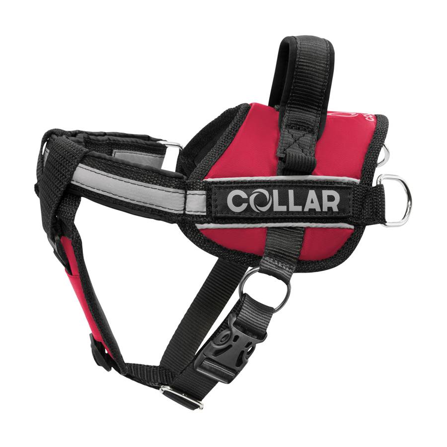 Шлея "Dog Extreme" "POLICE" №1 (В:35-45см) червоний