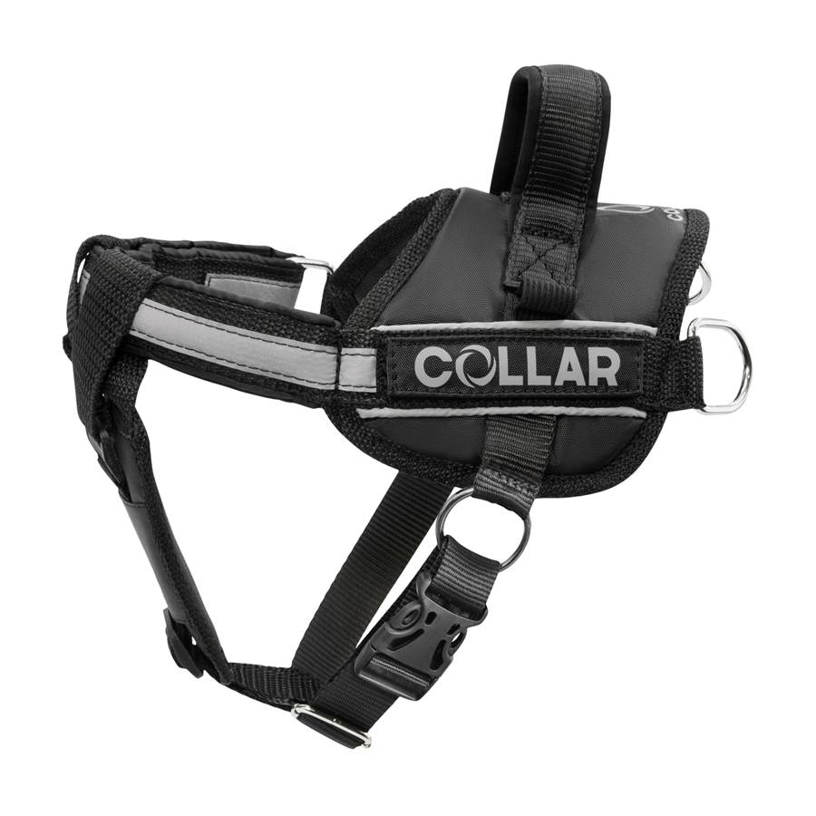 Шлея "Dog Extreme" "POLICE" №2 (В:40-60см), чорний