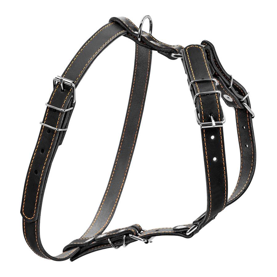 Шлея "CoLLaR" одинарна для малих та середніх собак (ширина 20мм, А:40-56см, В:57-65см) чорний
